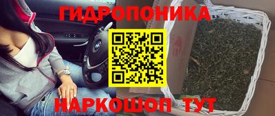 крисы Норильск