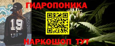 крисы Норильск