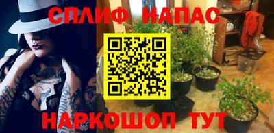 крисы Норильск