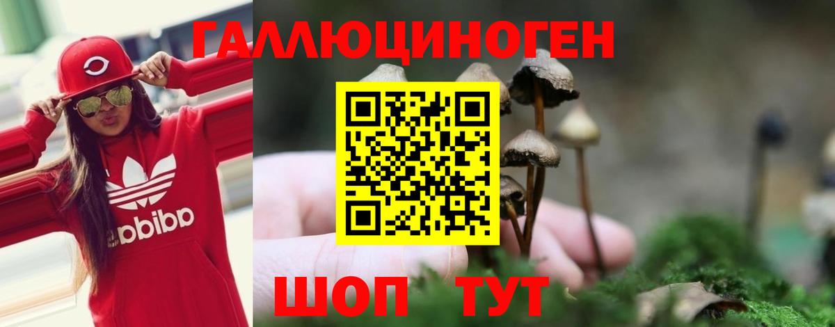 Камышлов  Псилоцибиновые грибы мицелий  Вход с VPN 